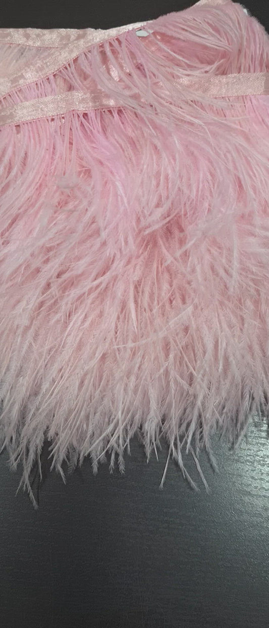 Pluma avestruz